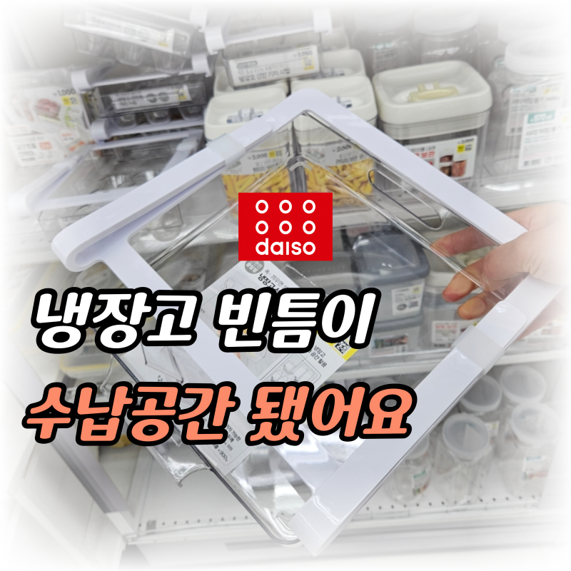 다이소 가면 "주방고수들은 먼저냉장고 정리함부터" 확인한다는데..