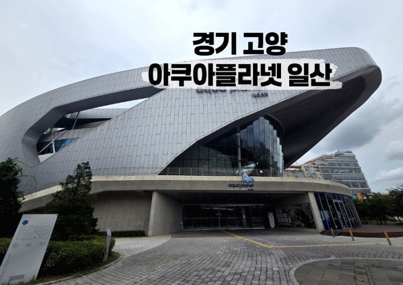 경기 고양 아쿠아플라넷 일산 / 고양가볼만한곳 일산데이트추천 경기실내데이트