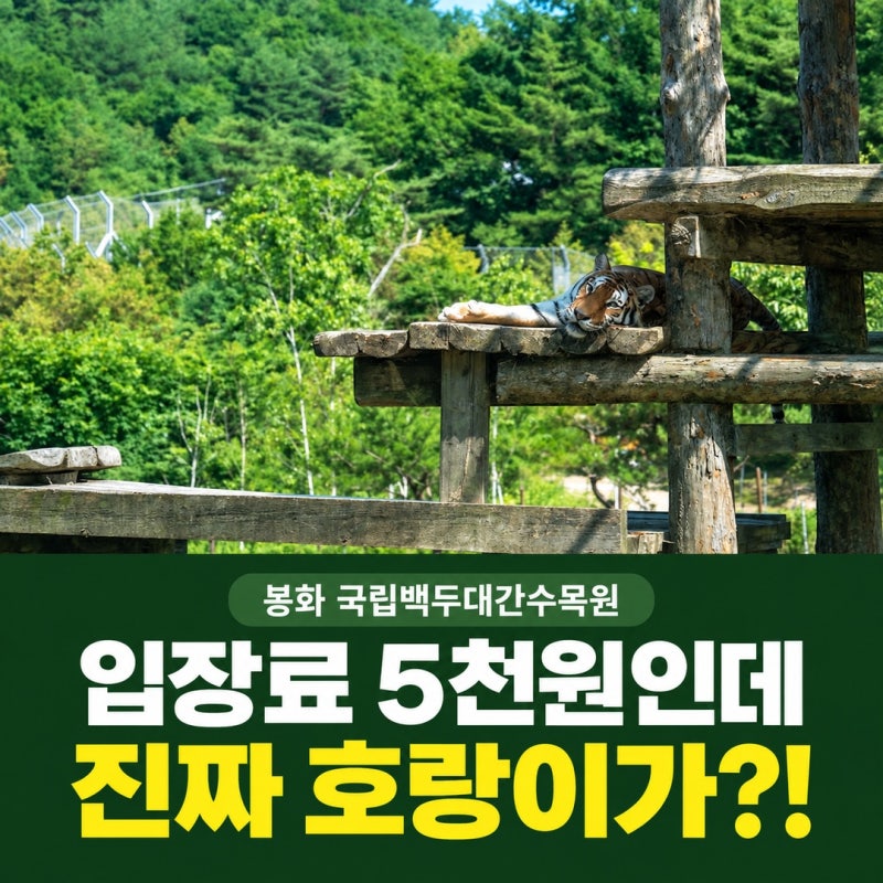 5천원 내고 진짜 호랑이를 본다고? 봉화 국립백두대간수목원