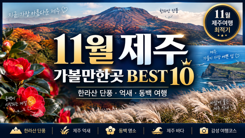 11월 제주 가볼만한곳 BEST 10, 한라산 단풍·억새·동백 여행