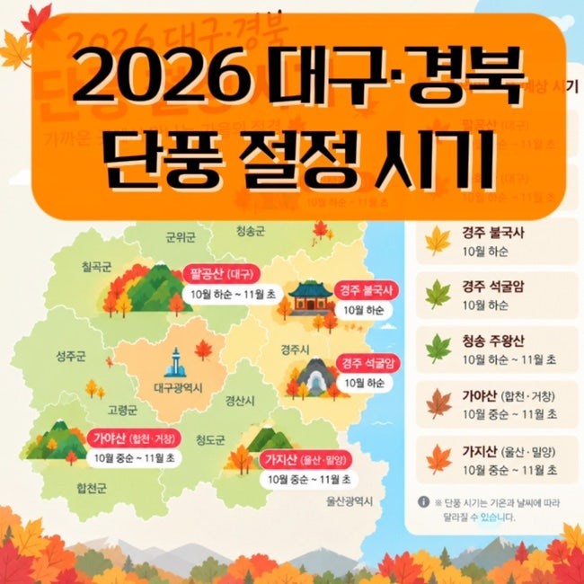 올가을 어디 갈까? | 2026 대구 경북 단풍 절정 시기 총정리