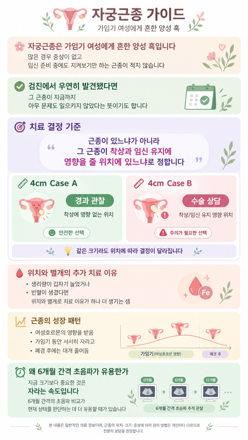 송파 자궁근종, 크기보다 위치가 임신에 중요한 이유