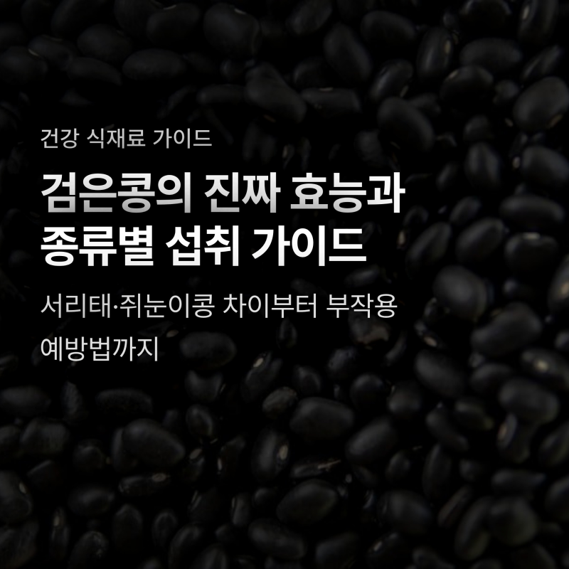 검은콩 매일 먹으면 탈모 해결될까? 서리태 효능과 제대로 먹는 법