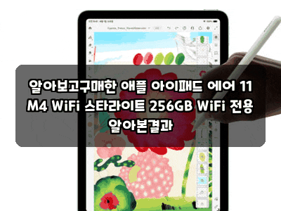 알아보고구매한 애플 아이패드 에어 11 M4 WiFi 스타라이트 256GB WiFi 전용 알아본결과
