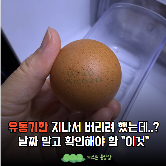 유통기한 지난 계란 먹어도 될까? 날짜보다 궁금한 "진짜 기준"
