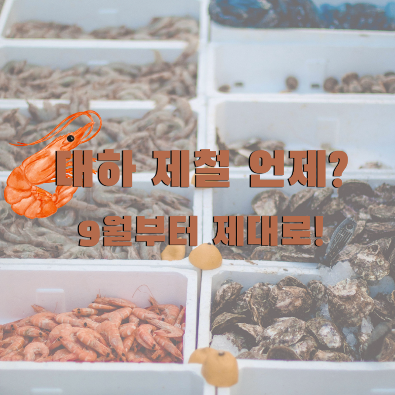 대하 제철 언제일까? 대하철 기간과 1kg 시세 총정리