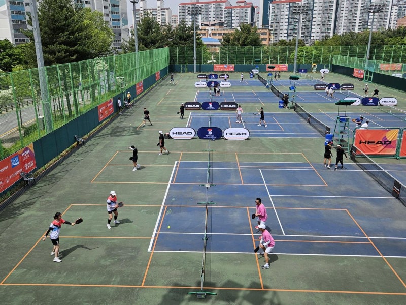 서울 피클볼 동호회 찾기｜강남·강동·노원·마포·송파 등 지역별 클럽 정리