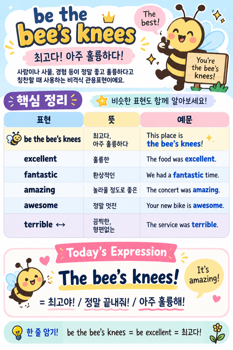 be the bee’s knees “최고다! 정말 멋지다!”라는 뜻의 영어 관용표현