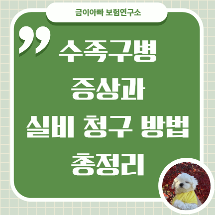 수족구병 증상과 실비 청구 방법 총정리