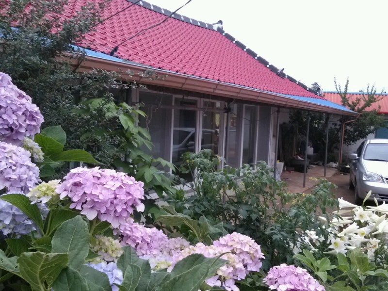 엄마 꽃 (안성훈)