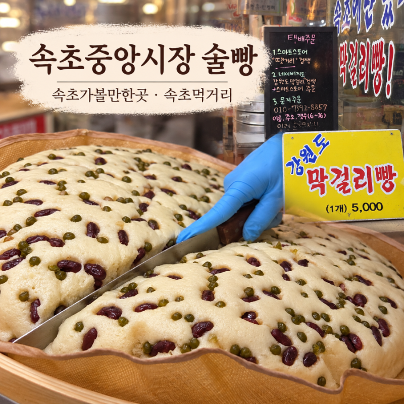 속초 중앙시장 먹거리 술빵 솔직후기 티각태각 주차 정보