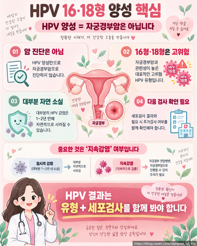 HPV 16형·18형 양성, 자궁경부암인가요? 검사 결과와 다음 단계자궁경부암 시리즈 2편