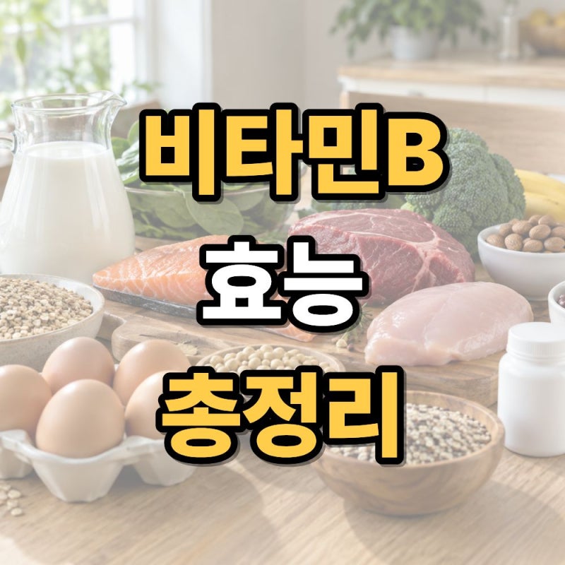 비타민B 효능 총정리 B군 효과 부터 부족증상과 음식까지