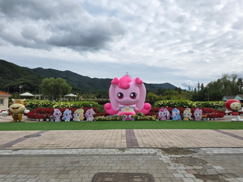 전북 장수 한우랑 사과랑 축제 기본정보, 장수누리파크까지