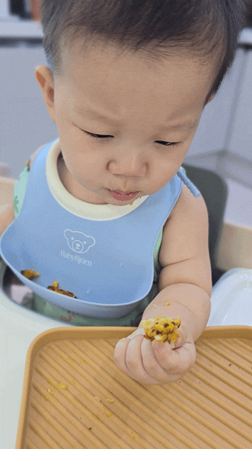 [휘슬러이유식7] 압력솥&꿈비 칸막이 곧 10개월 후기이유식 식단표 검은콩(서리태) 첫 테스트 ....