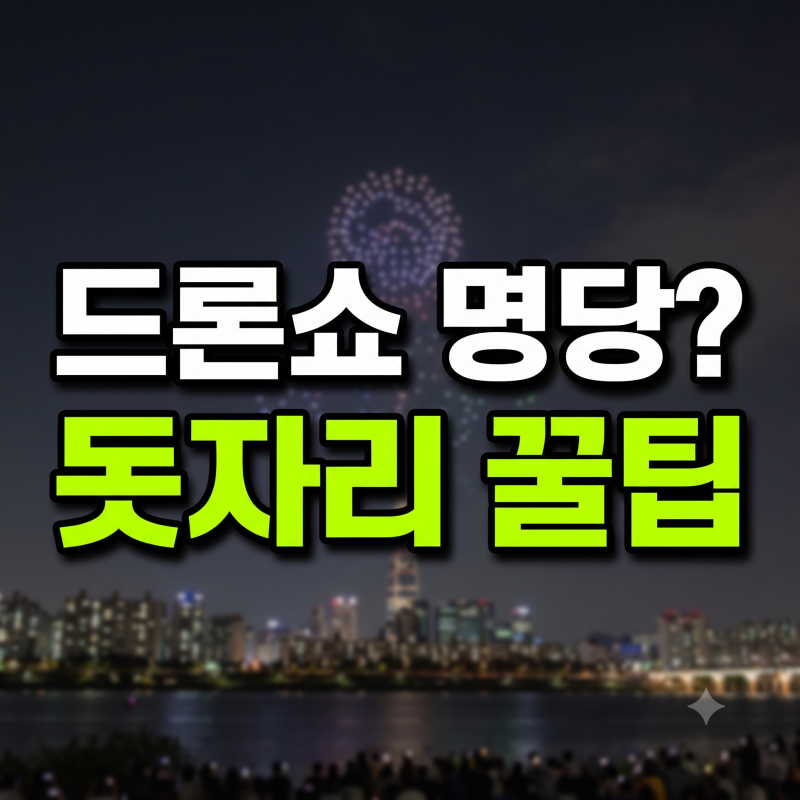 뚝섬 드론라이트쇼 명당 돗자리 자리 선점 시간 및 배달존 수령 팁 총정리