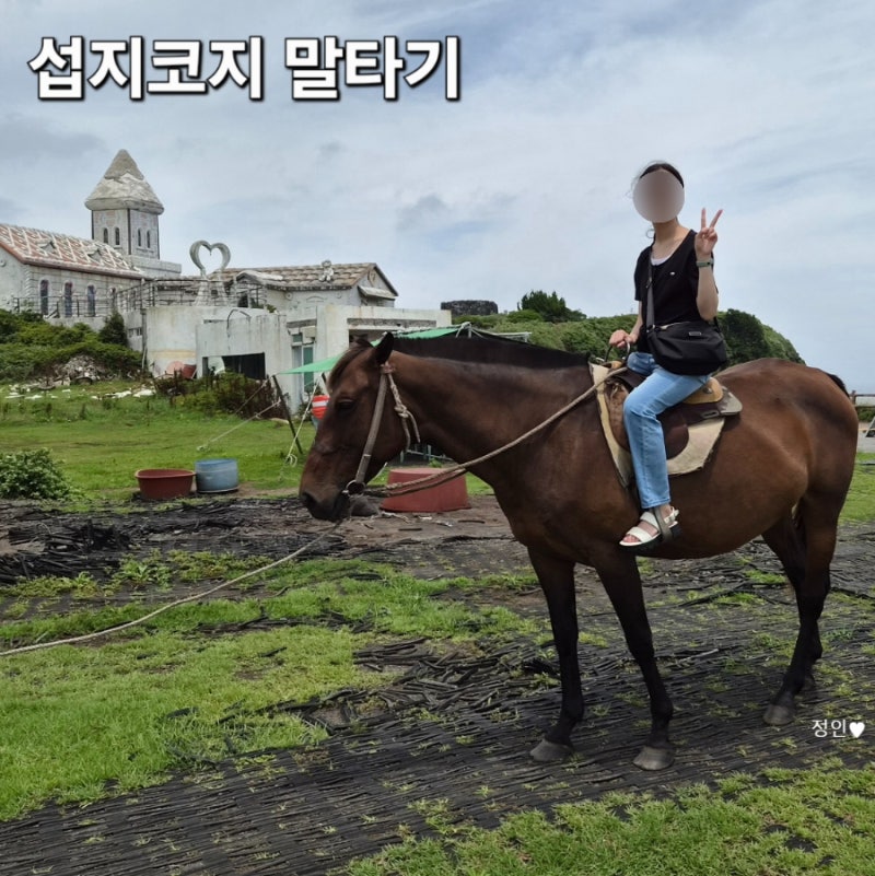 [제주도 승마] 섭지코지 말타기 가격 시간 제주투어패스 승마 가격 비교