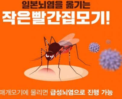 일본뇌염 예방접종 성인도 맞아야 할까? 40대 50대 접종 대상과 횟수