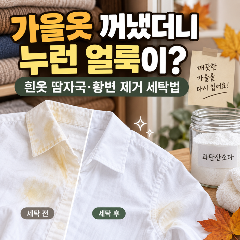 가을옷 꺼냈더니 누런 얼룩이? 흰옷 땀자국·황변 제거 세탁법