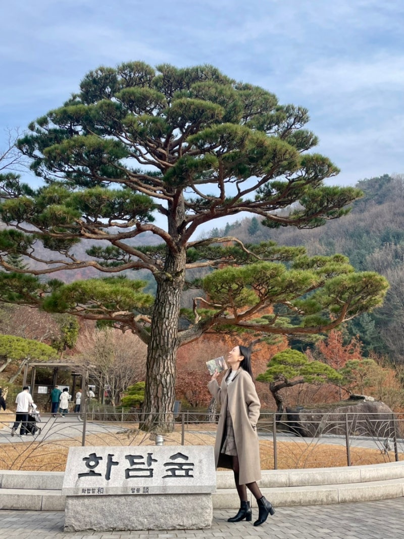 화담숲 모노레일 예약부터 탑승까지 솔직후기｜10시 순환권 타고 가을 화담숲 둘러보기