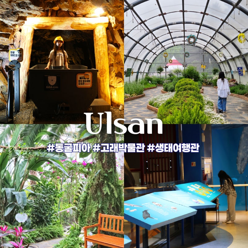 울산 아이랑 실내 가볼만한곳 장생포 고래박물관 포함 아이와 가기 좋은 3곳
