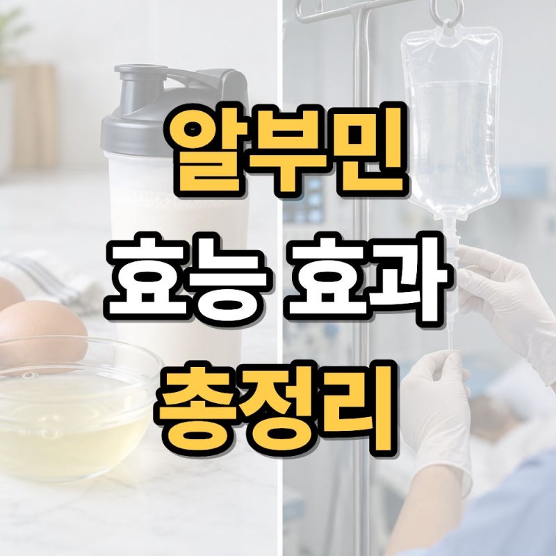 알부민 효능 총정리 알부민 주사 효과와 먹는 제품 차이까지