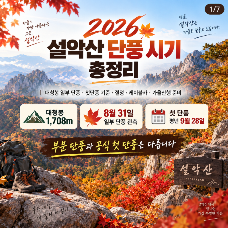 2026 설악산 단풍 시기 총정리｜대청봉 일부 단풍·첫단풍 기준·절정·케이블카·가을산행 준....