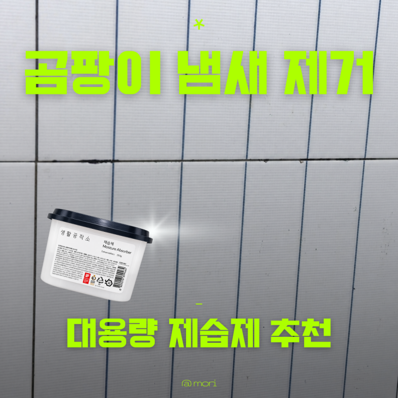 집 곰팡이 냄새제거 방법 대용량 제습제 두기 전 꼭 할 것