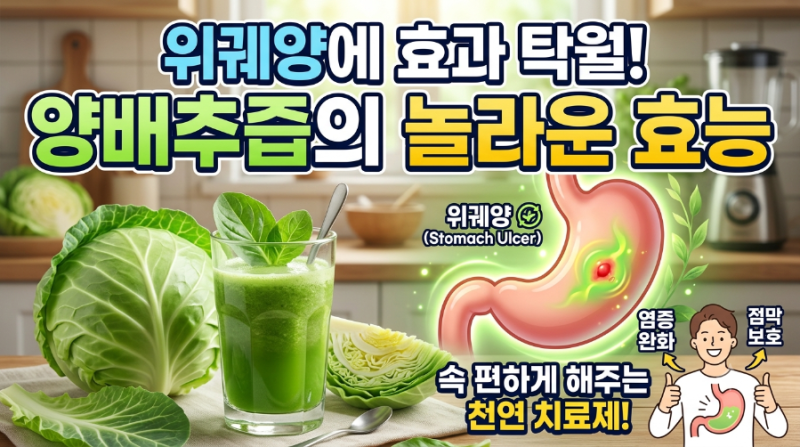 위궤양에 양배추즙 진짜 효과 있을까? 효능과 부작용, 올바른 복용법 총정리
