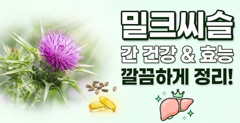 밀크씨슬 고를 때 '이것' 모르면 돈 낭비? 간 영양제 제대로 고르는 법