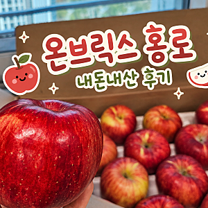 온브릭스 가을 홍로 사과 내돈내산 후기