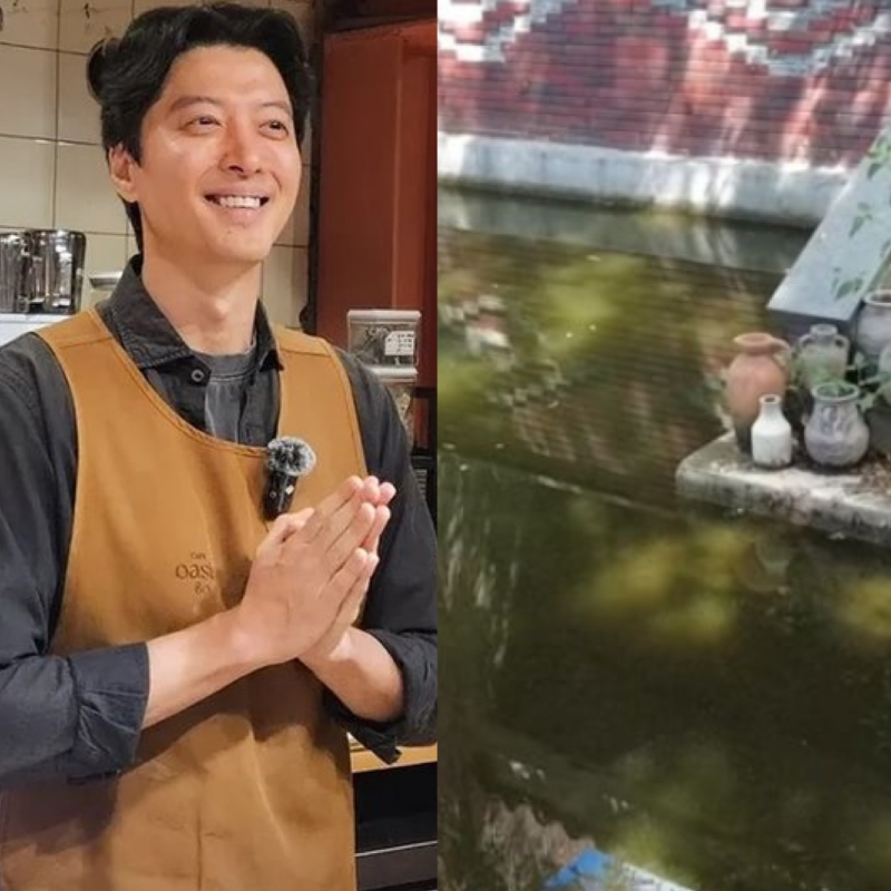 "뒷처리 무슨일..?"이동건 제주카페 방치된 연못에 녹조 가득이라는데..