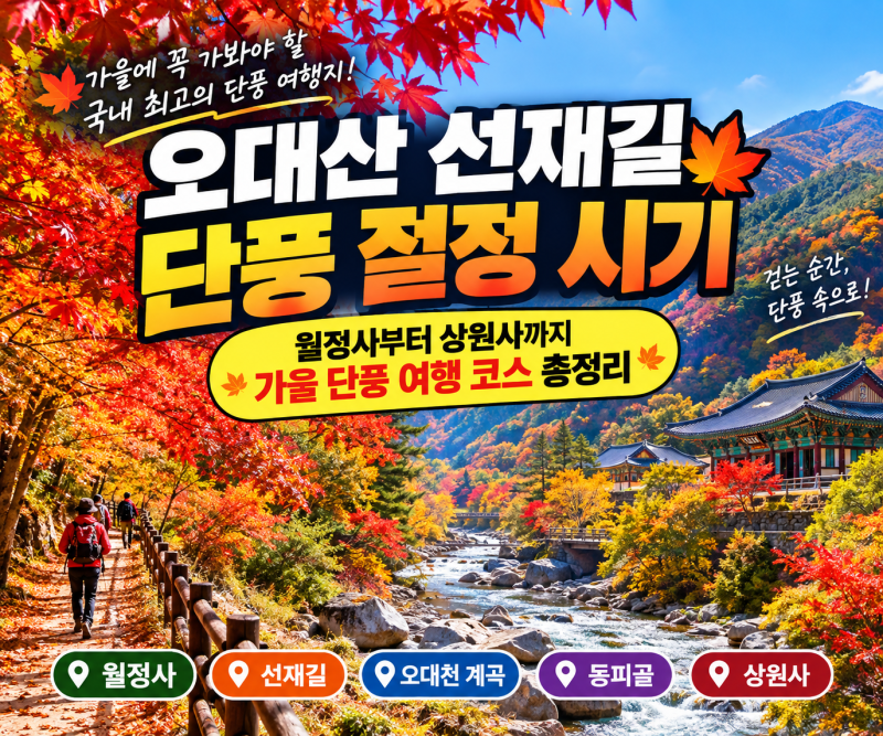 "오대산 선재길 단풍" 절정 시기·월정사부터 상원사까지 가을 단풍 여행 코스 총정리