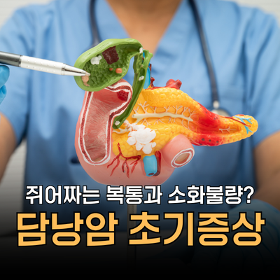 쥐어짜는 복통? 담낭암 초기증상 의심하세요! 원인, 생존율, 예방법은?
