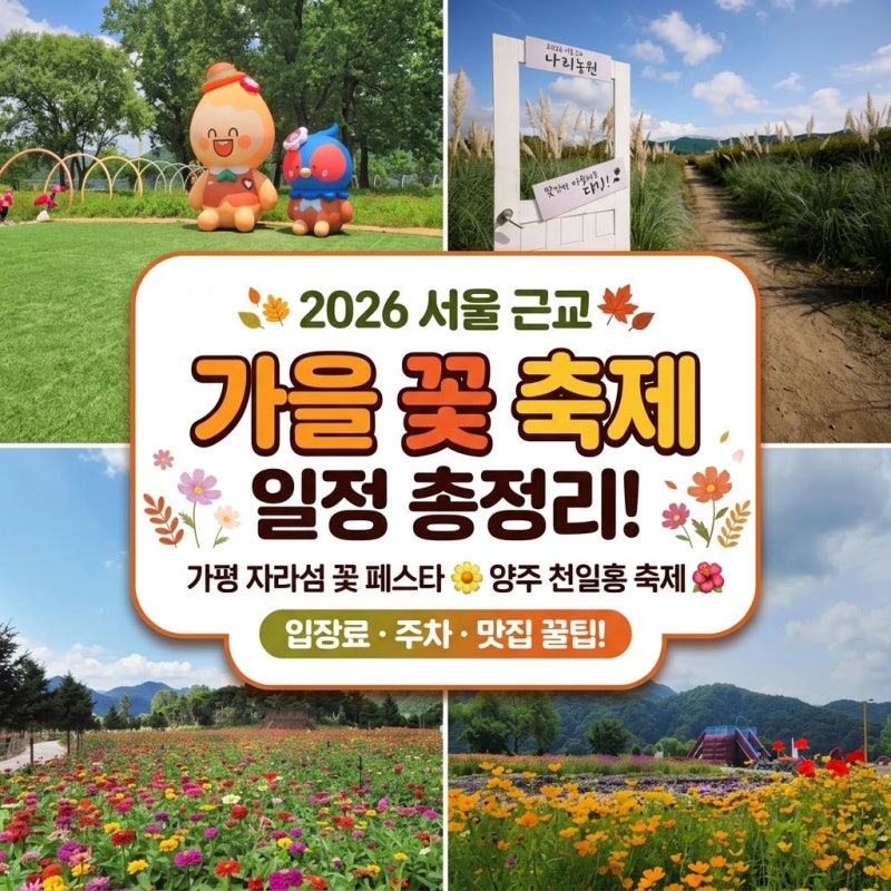 2026 서울 근교 가을 꽃 축제 일정 총정리: 가평 자라섬 꽃 페스타 & 양주 천일홍 축제 (입장료,....