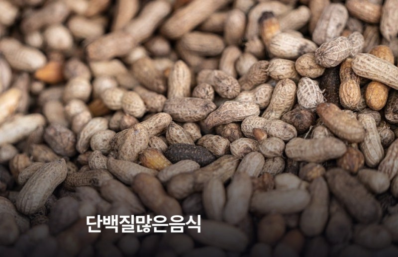 단백질 많은 음식 순위, 닭가슴살 그릭요거트 두부 비교
