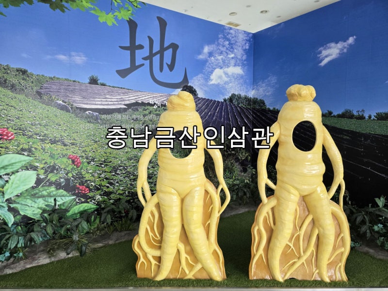 충남 금산 가볼만한곳 금산인삼관