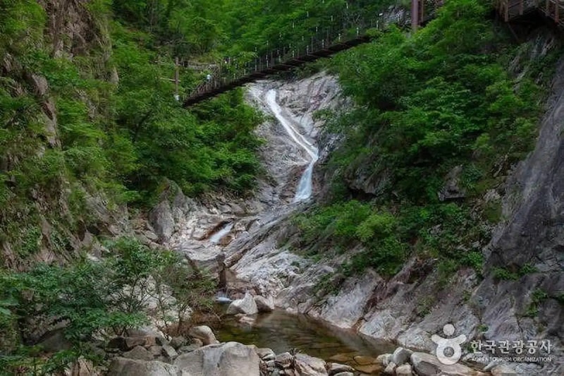 설악산 흘림골 예약 없이 걷는 9월, 6.2km 코스·주차·입산시간 총정리