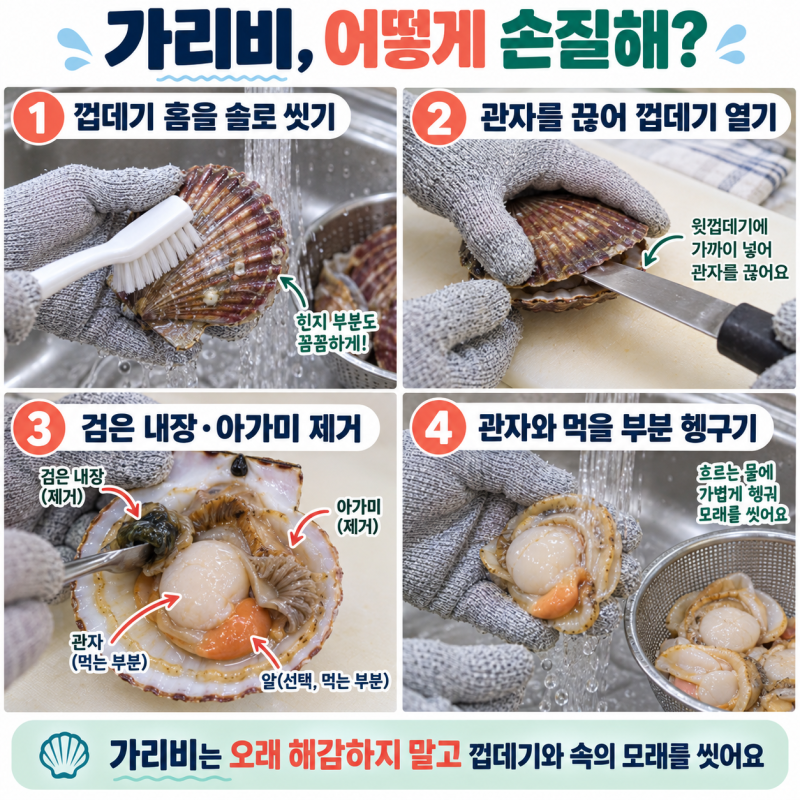 가리비 어떻게 손질해? 해감 여부와 내장·아가미 제거하는 법