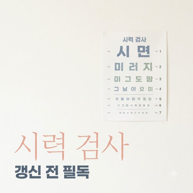 "0.8 안 되면 탈락?".. 운전면허 갱신 시력 미달 피하는 법