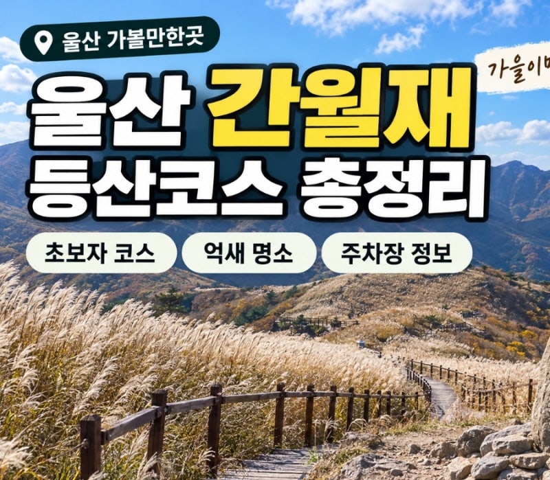 울산 간월재 등산코스 총정리｜초보도 갈 수 있는 영남알프스 간월재 쉬운코스