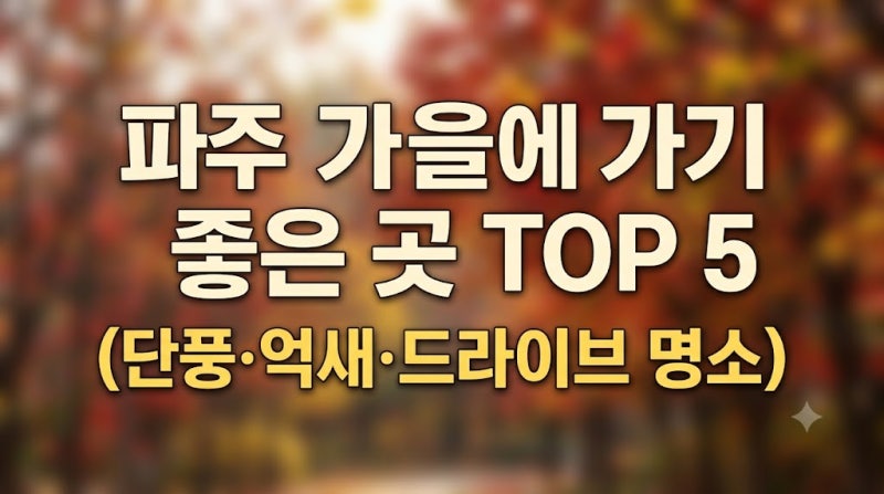 파주 가을에 가기 좋은 곳 TOP 5 | 단풍부터 억새·핑크뮬리까지 총정리