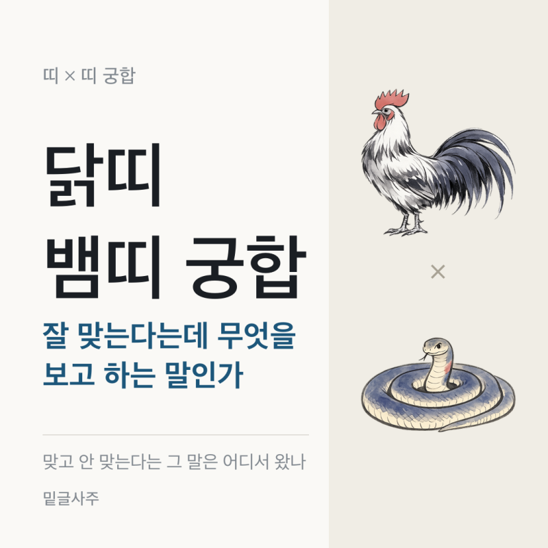 닭띠 뱀띠 궁합, 잘 맞는다는데 무엇을 보고 하는 말인가요