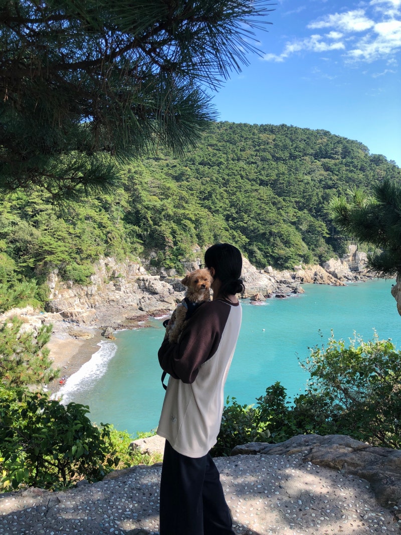 [부산여행]애견동반 가볼만한곳 추천 ‘부산 태종대’ SNS 포토존 후기