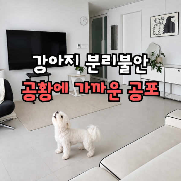 강아지 분리불안 증상, 하울링 한다면 절대 방치하지마세요