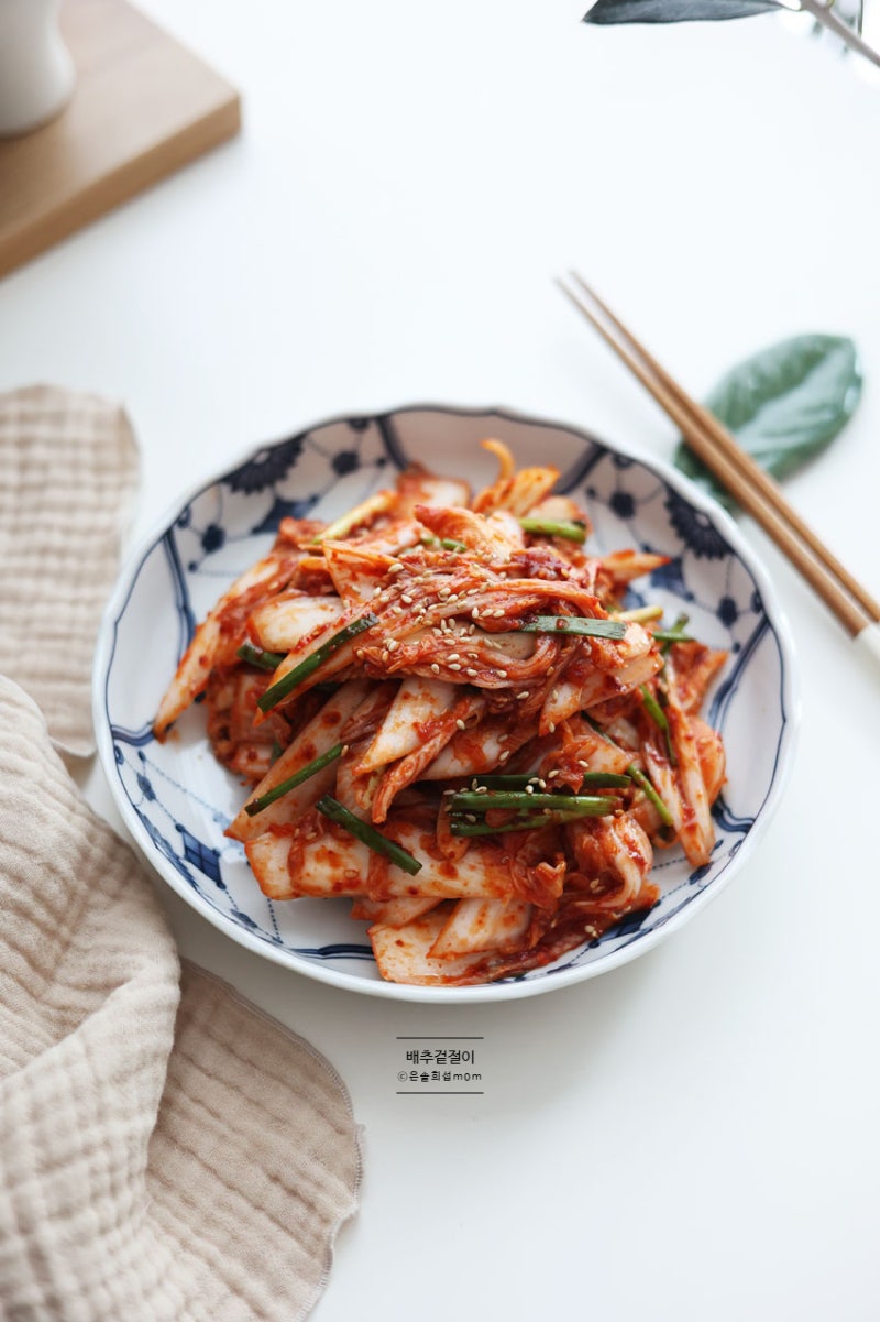알배기 배추겉절이 레시피 양념 알배추 겉절이