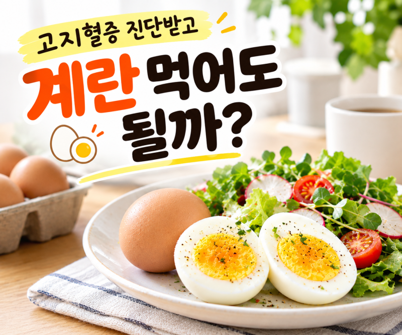 고지혈증인데 계란 먹어도 될까? 매일 먹던 사람이라면 꼭 확인