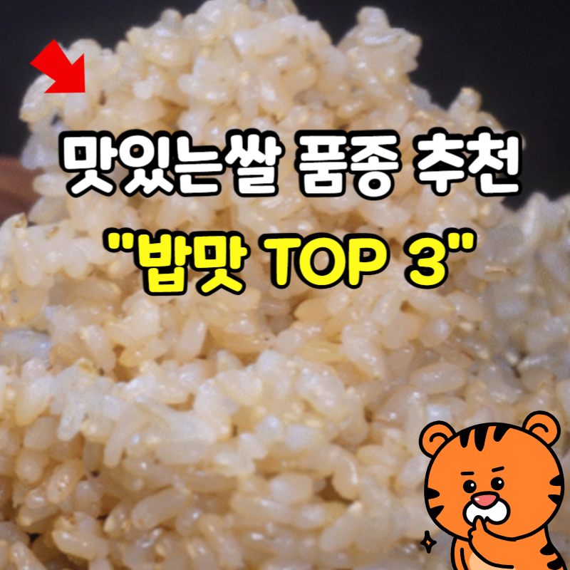 26년 햅쌀 10KG 상/특등급 맛있는 쌀 추천 품종순위 TOP 3