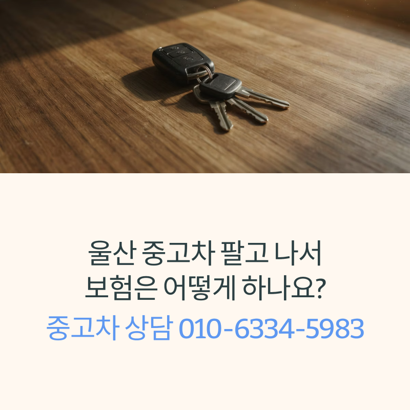 울산 중고자동차 판매 후 자동차 보험 승계 및 해지
