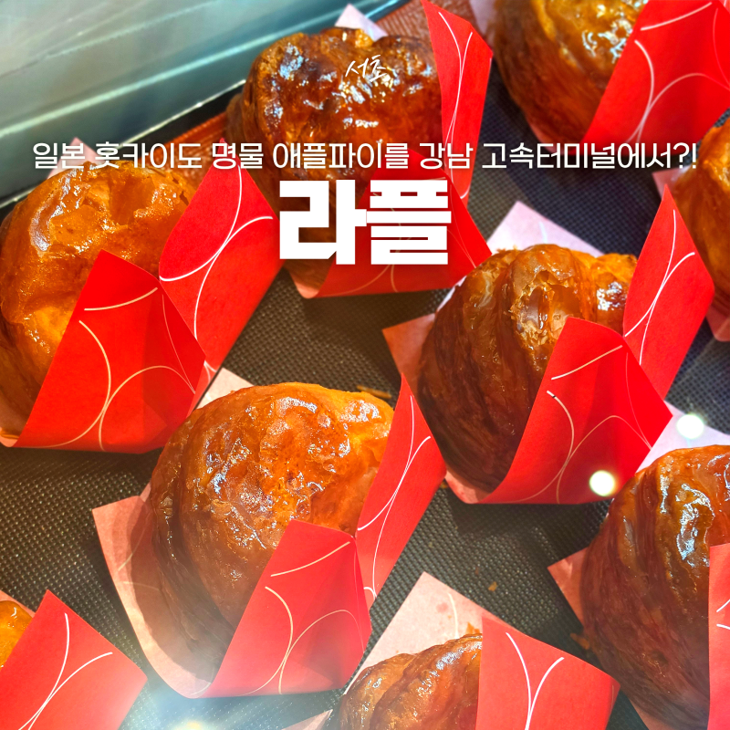 강남 신세계 디저트 홋카이도 웨이팅맛집 애플파이라고? 고터 베이커리 라플